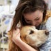 how animals help you heal