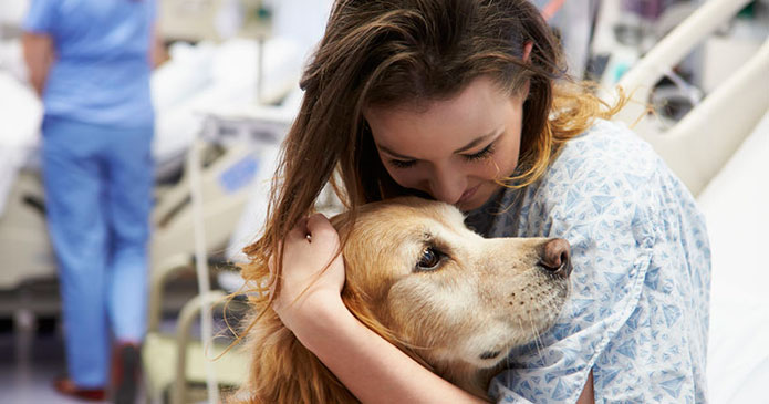 how animals help you heal
